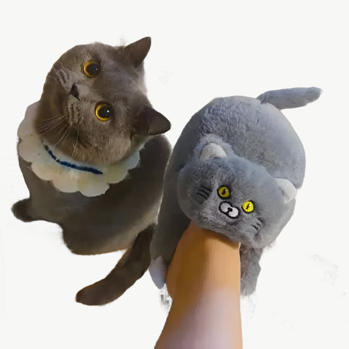Enya - Kuschelige Katzenpantoffeln - Mayfair ModaRegenbogen6